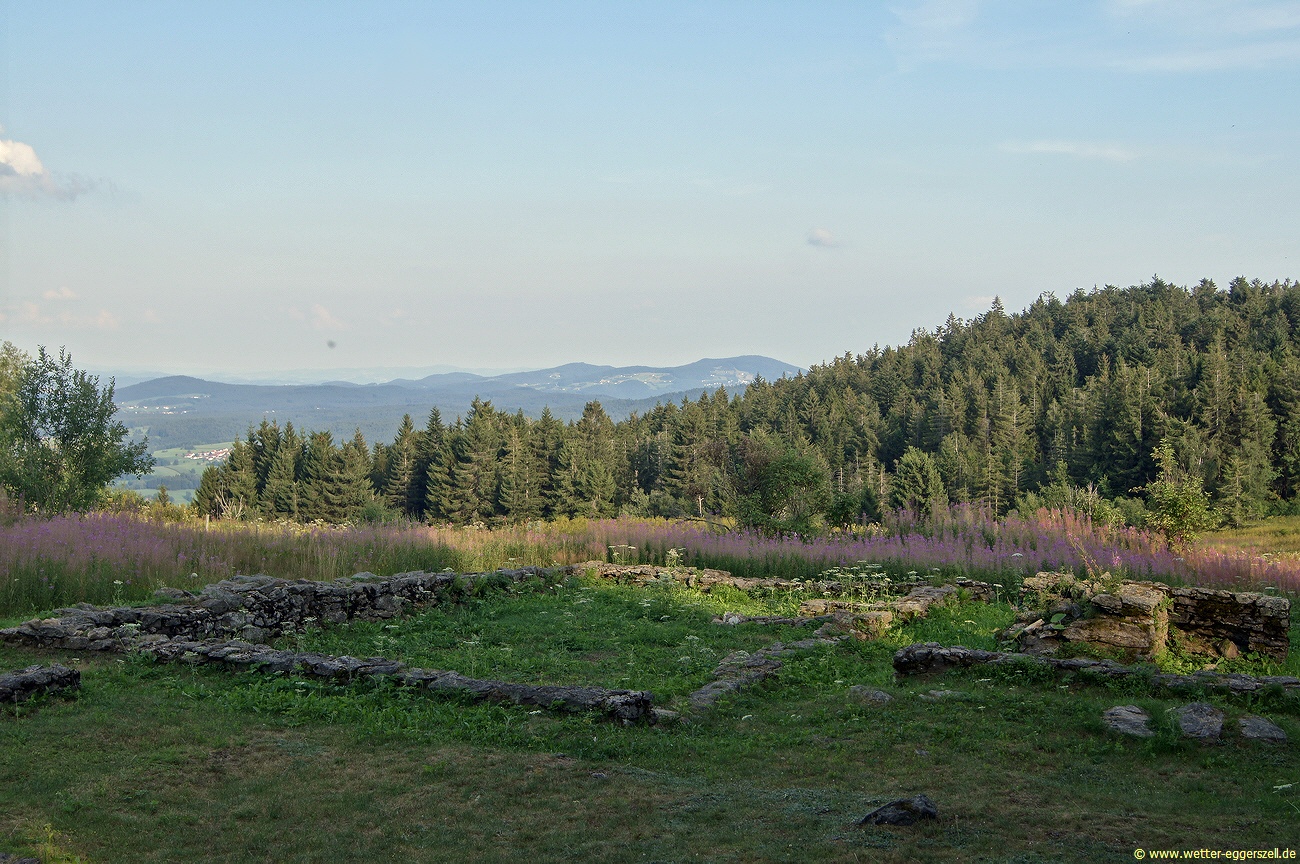 01.08.19Sommerabend am Geißkopf/Oberbreitenau
