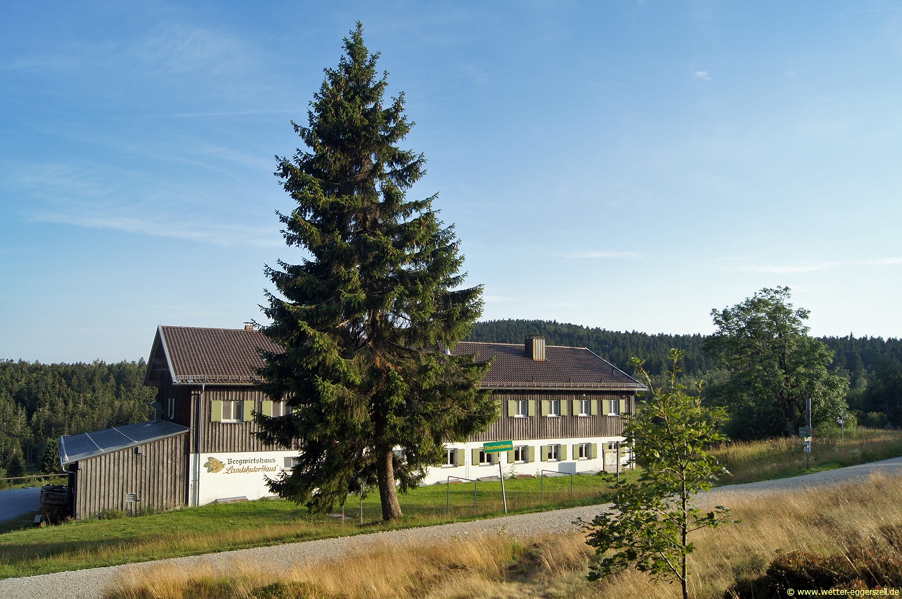 01.08.19Sommerabend am Geißkopf/Oberbreitenau