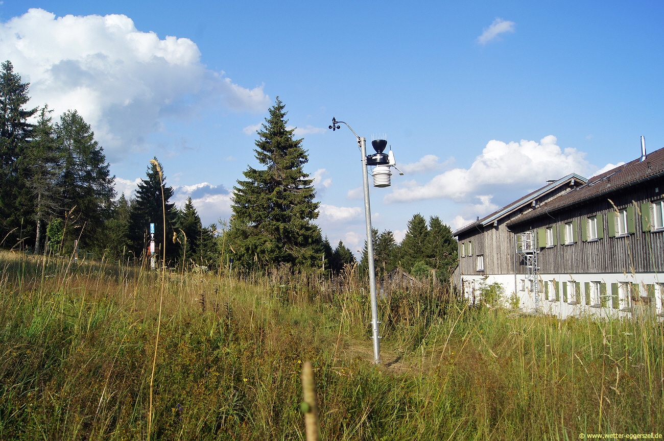01.08.19Sommerabend am Geißkopf/Oberbreitenau